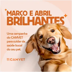 Camvet