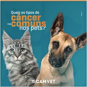 Camvet