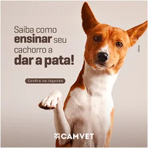 Camvet