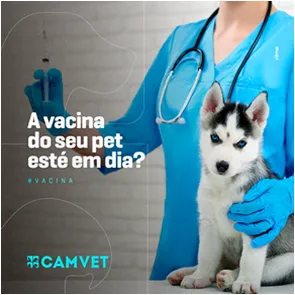 Camvet