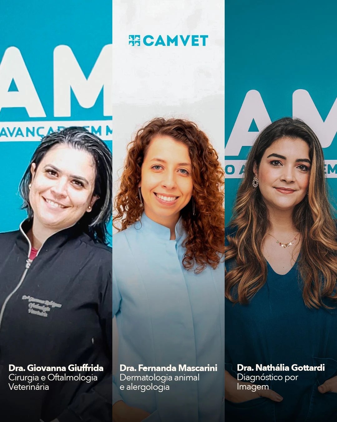 Imagem ilustrativa de Atendimento veterinário especializado em cães