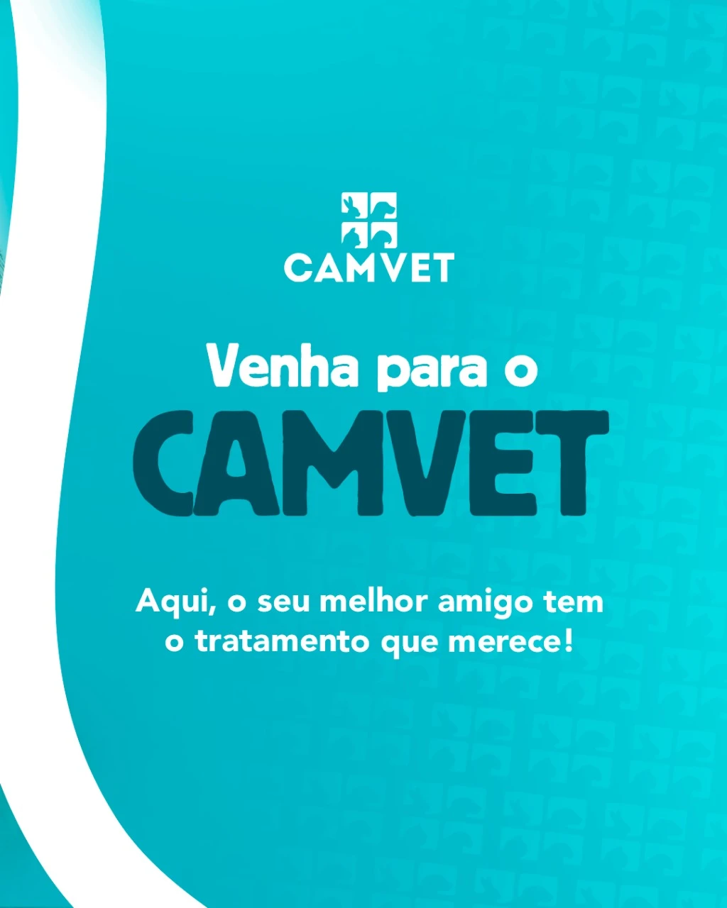 Centro médico veterinário 24 horas