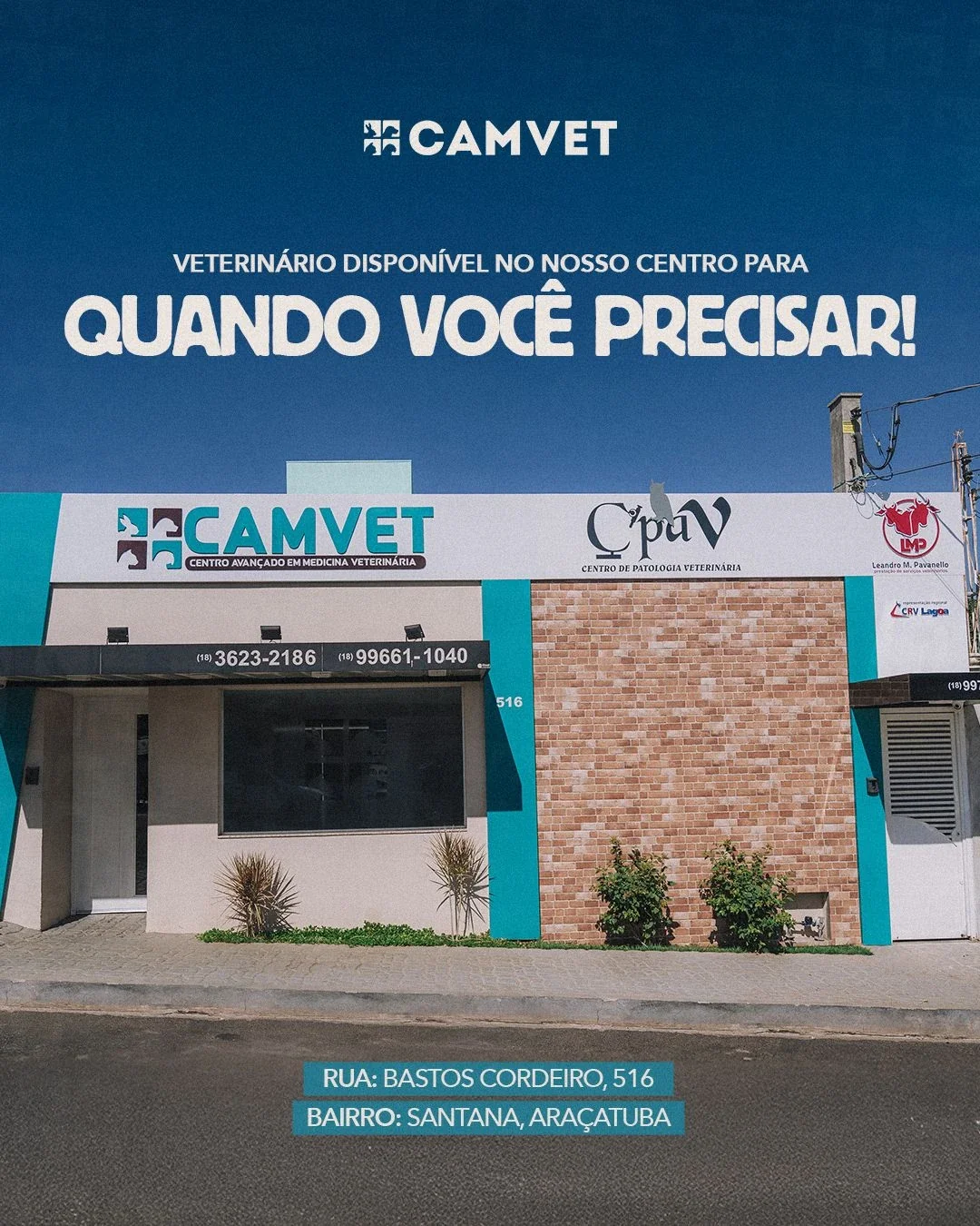 Imagem ilustrativa de Clínica veterinária 24h em Araçatuba