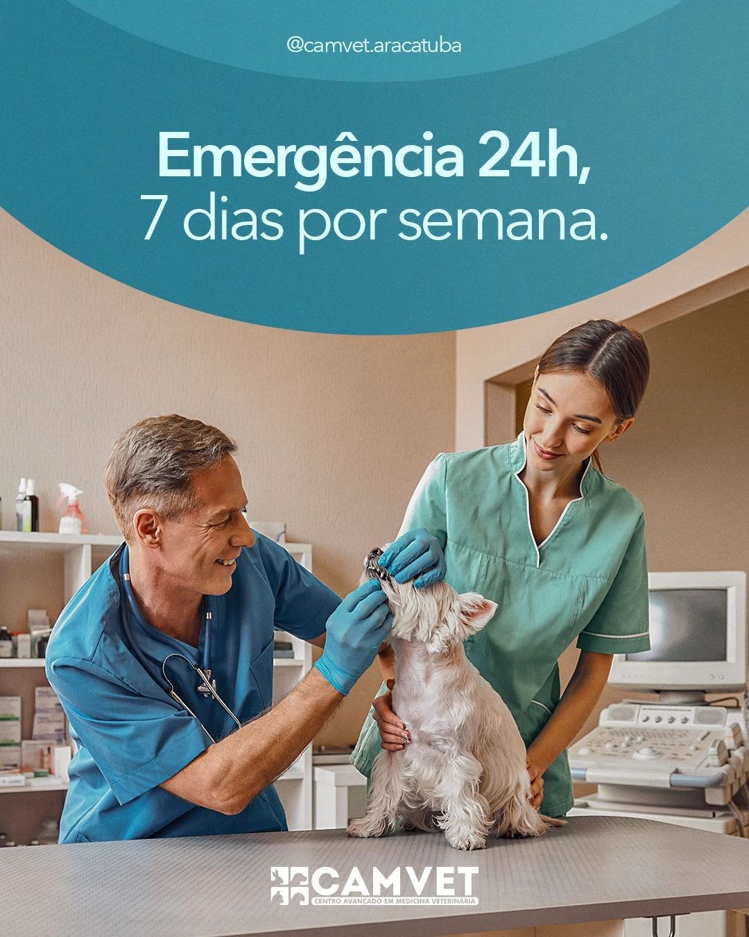 Clínica veterinária 24h em Birigui