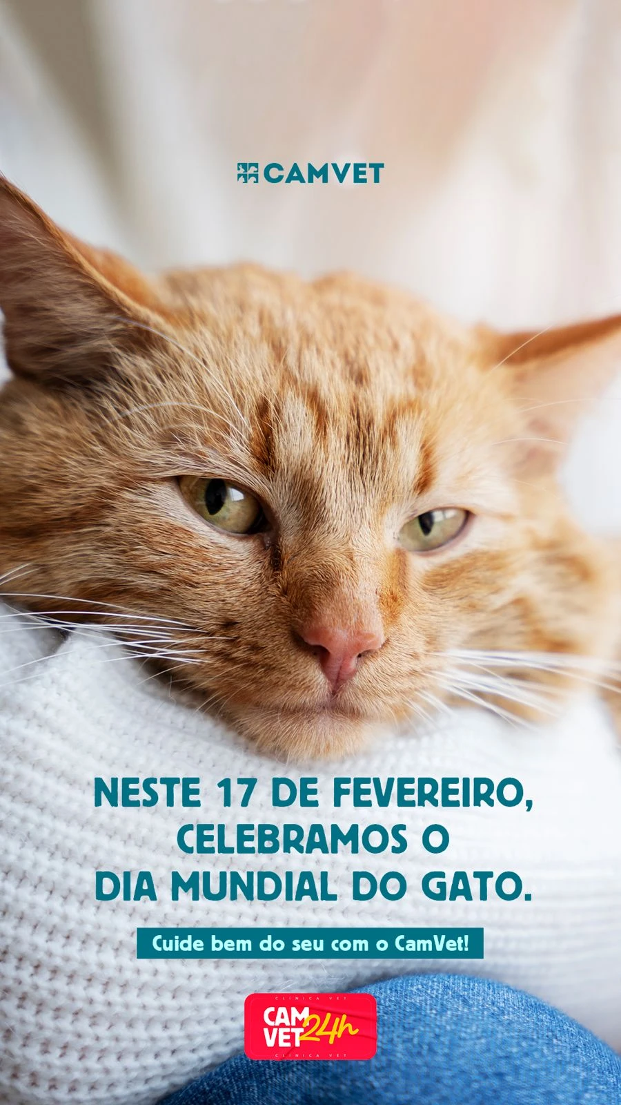 Emergência veterinária 24h