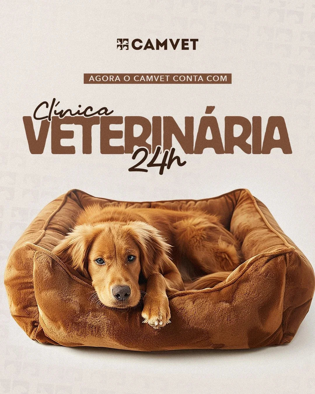 Intensivista veterinário