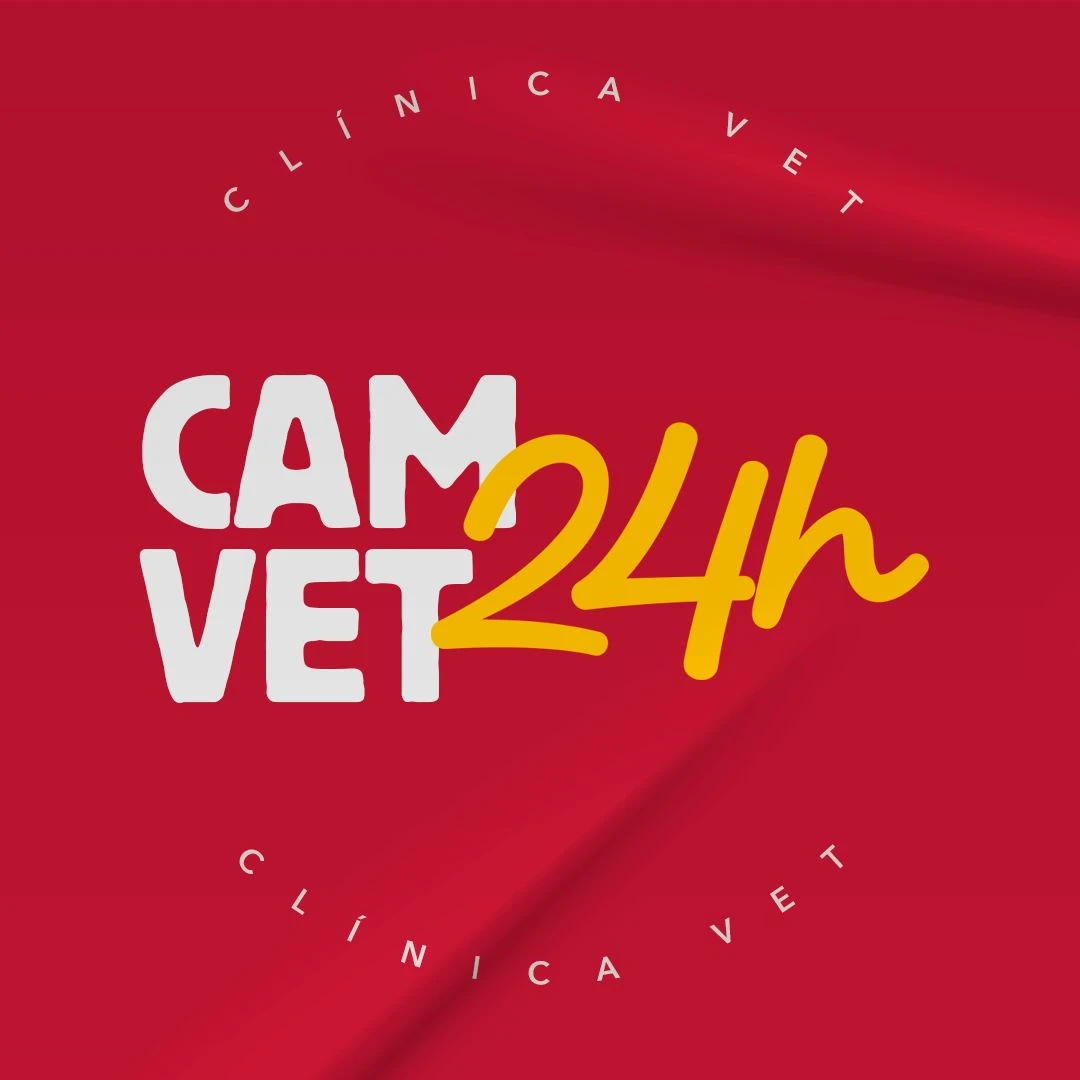 Médico veterinário 24 horas