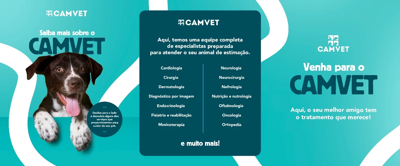 Veterinário especialista em ortopedia