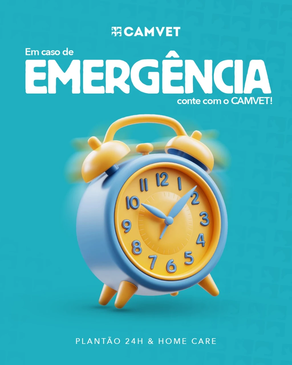 Veterinário especialista em ortopedia