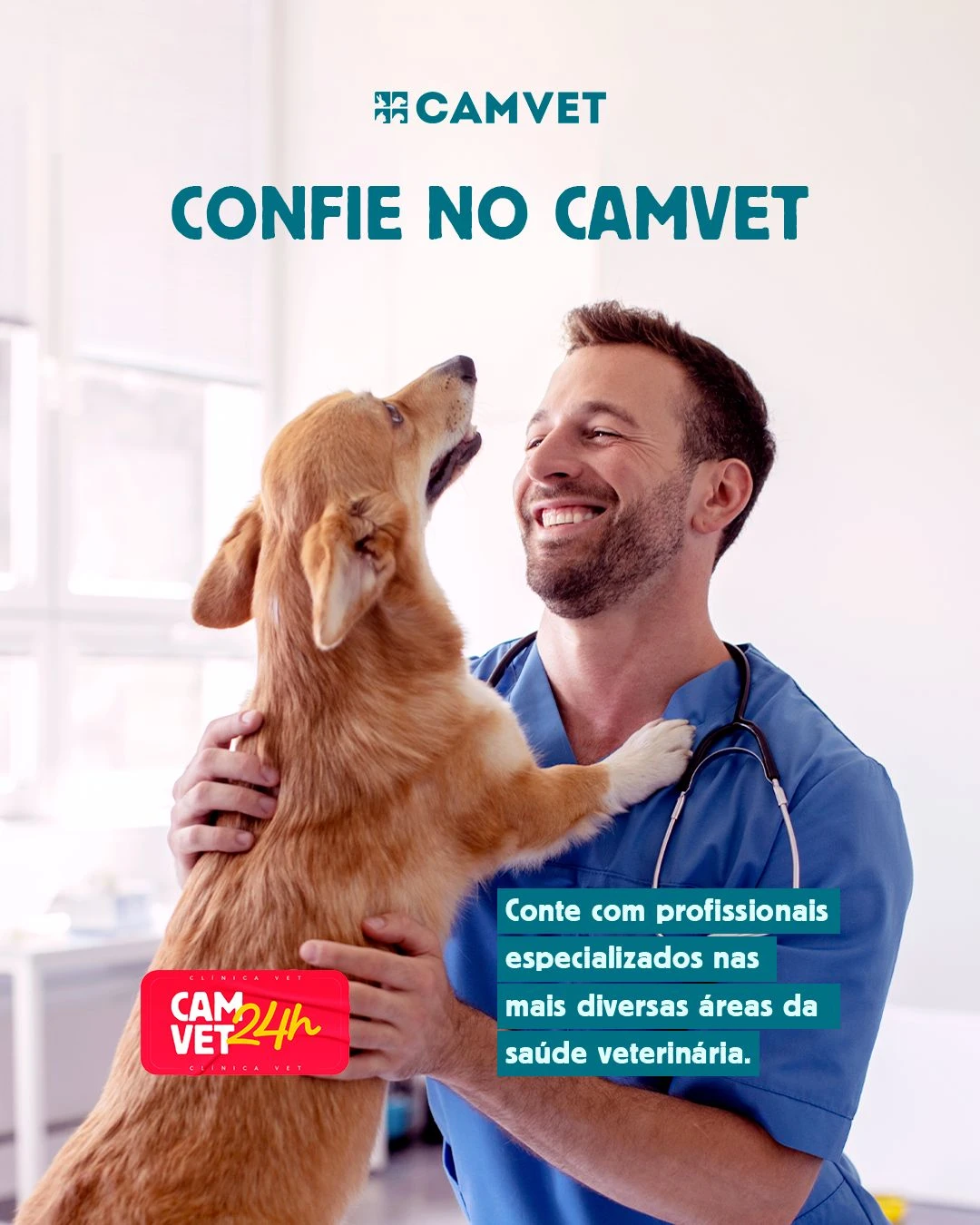 Veterinário especialista em ortopedia