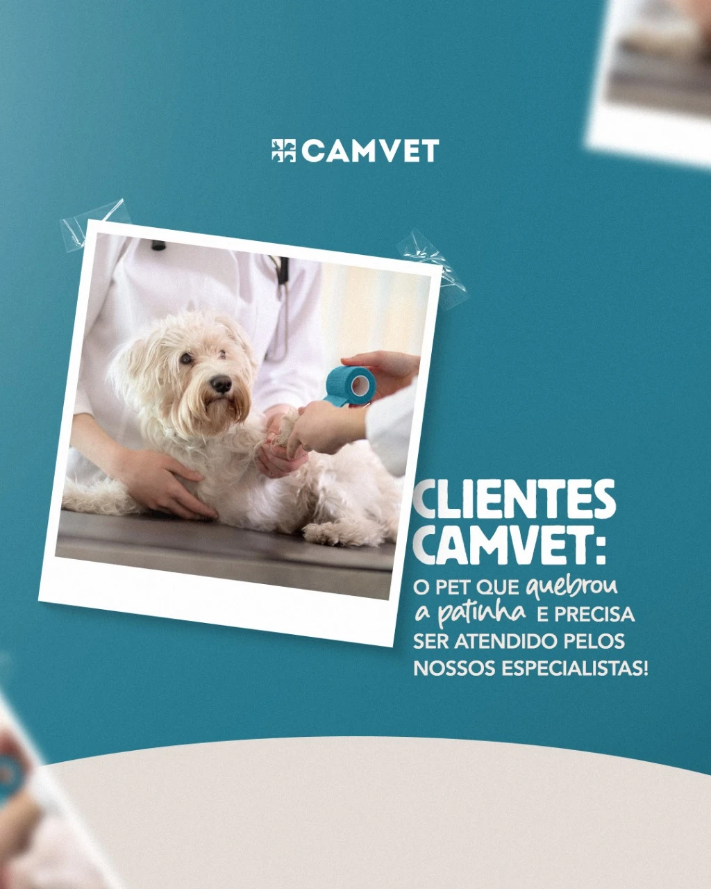 Veterinário especialista em ortopedia